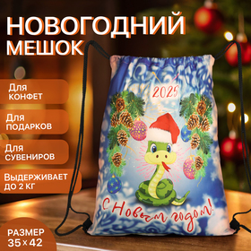 Мешок для подарков новогодний на шнурке «Змея», символ года, цвет разноцветный