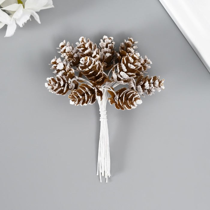 Декор для творчества "Шишки" (1 набор=1 букет) в букете 12 шт 11х2х2см - Фото 1