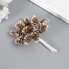 Декор для творчества "Шишки" (1 набор=1 букет) в букете 12 шт 11х2х2см (12 шт) - фото 808155186 Декор для творчества "Шишки" (1 набор=1 букет) в букете 12 шт 11х2х2см (12 шт) - фото 808155186