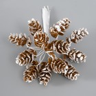 Декор для творчества "Шишки" (1 набор=1 букет) в букете 12 шт 11х2х2см (12 шт) - фото 808155187 Декор для творчества "Шишки" (1 набор=1 букет) в букете 12 шт 11х2х2см (12 шт) - фото 808155187