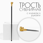 Сувенирная трость с клинком 36 см, набалдашник: лев - Фото 1