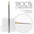 Сувенирная трость с клинком 36 см, набалдашник: алмаз - Фото 1