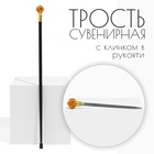 Сувенирная трость с клинком 36 см, набалдашник: корона - Фото 1