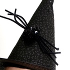 Карнавальная шляпа с пауком, цвет чёрный - Фото 4