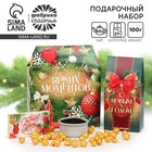 Новый год! Подарочный набор «С новым годом» : чай чёрный, 50 г., шоколад молочный, 27 г., арахис в глазури 100 г 10577348 - фото 13615243