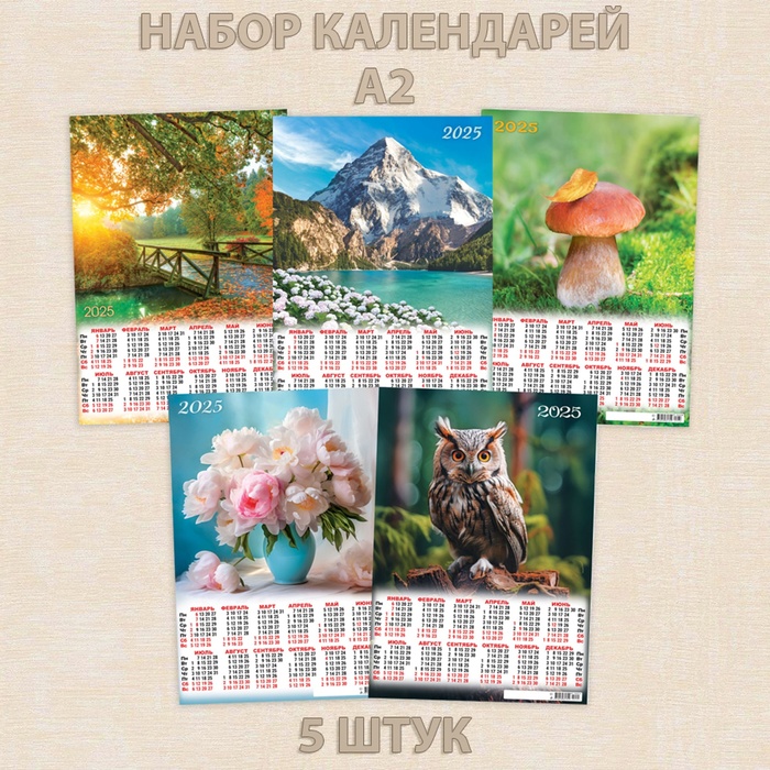 

Набор листовых календарей А2 "Природа" 2025 год, 42 х 60 см, 5 штук, МИКС