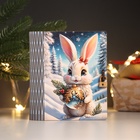 Новогодняя шкатулка-книга "Зая" 14х12х5 см - фото 26691440