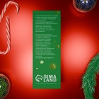 Новогодняя сыворотка для лица с морскими водорослями, 30 мл - Фото 3