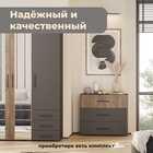 Комод с тремя ящиками, 900×426×790 мм, цвет графит / дуб крафт табачный - фото 14622053