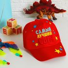Кепка детская «Самый лучший сын», р-р. 54-58 см, 3-7 лет, цвета МИКС - Фото 5