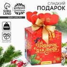 Сладкий детский новогодний подарок «Подарок для тебя», конфеты 400 г 10449136 - фото 13313608