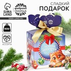 Новый год! Подарочный набор: конфеты в коробке «Лучший подарок», 400 г 10449137 - фото 13615542