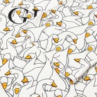 Пижама мужская (футболка и шорты) KAFTAN Gussi, р-р 52 10480034