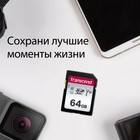 Карта памяти SDXC 64GB Transcend TS64GSDC300S 300S w/o adapter - фото 51663607 Карта памяти SDXC 64GB Transcend TS64GSDC300S 300S w/o adapter - фото 51663607