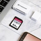 Карта памяти SDXC 64GB Transcend TS64GSDC300S 300S w/o adapter - фото 51663612 Карта памяти SDXC 64GB Transcend TS64GSDC300S 300S w/o adapter - фото 51663612