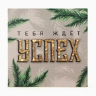 Набор подарочный «Змей» плед, носки, перчатки, термостакан - Фото 12