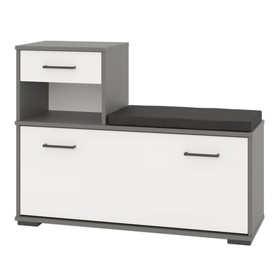 Тумба под обувь «Лира», 1000×330×755 мм, цвет графит/белый