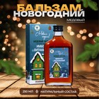 Новогодний медовый бальзам алтайский Иммуно-витаминный, 250 мл - Фото 1