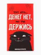 Шоколад с открыткой «Денег нет», 100 г - Фото 1