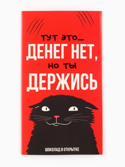 Шоколад с открыткой «Денег нет», 100 г