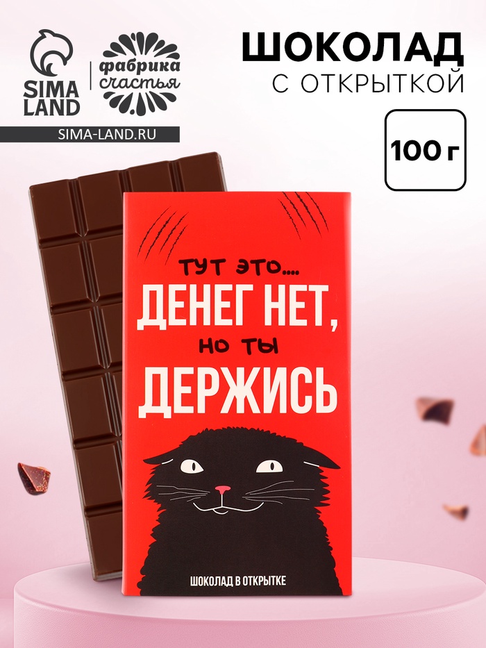 Шоколад с открыткой «Денег нет», 100 г - Фото 1