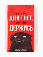 Шоколад с открыткой «Денег нет», 100 г - Фото 8