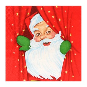 Салфетки бумажные Home Collection Classic «Новогоднее представление», 3 слоя, 33?33 см, 20 шт. (комплект 3 шт)