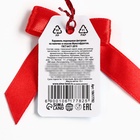 Леденец на палочке «Твой лучший год», со вкусом: мультифрукт, 15 г - Фото 3