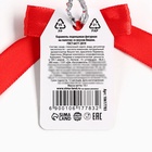 Леденец на палочке «Новый год исполнит все мечты», со вкусом вишни, 15 г - Фото 3