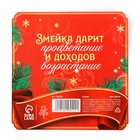 Подкова новогодняя «Новый год: Новогодняя», МИКС, 7 х 10 см - фото 5187570