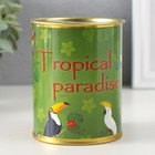 Копилка-банка металл "Tropical paradise" - фото 322121066