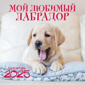 Мой любимый лабрадор. Календарь настенный на 2025 год, 300х300 мм