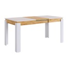 Стол обеденный раздвижной «Гермес 2», 1920×750×760 мм, цвет белое дерево/дуб крафт золотой - Фото 2