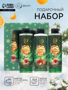 Новогодний подарочный набор косметики SB BEAUTY, шампунь, гель для душа, молочко для тела, с ароматом миндаля и мандарина - Фото 1