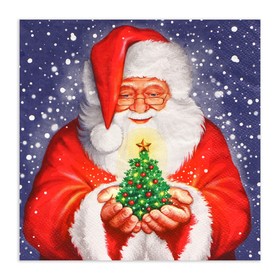 Салфетки бумажные Home Collection «Дед мороз и новогодняя ель», 3 слоя, 33?33 см, 20 шт. (комплект 2 шт)