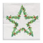 Новогодние салфетки бумажные «Рождественская звезда, серебро», 3 слоя, 33×33 см, 20 шт. - Фото 2