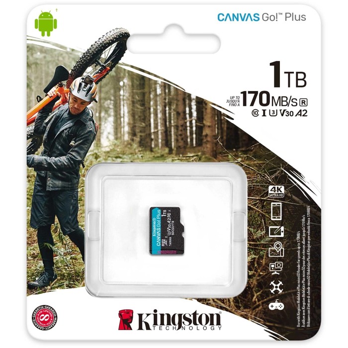 Карта памяти microSDXC 1TB Kingston SDCG3/1TBSP Canvas Go! Plus w/o adapter - фото 51665951