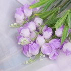 Букет искусственный «Колокольчик с напылением», h=27 см, сиреневый - Фото 2