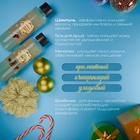 Новогодний подарочный набор косметики SB BEAUTY «Волшебница зима», гель для душа, шампунь, мочалка, бомбочка × 2, аромат хвои, вишни и мандарина - Фото 3