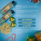 Новогодний подарочный набор косметики SB BEAUTY, гель для душа, бомбочка × 2, шампунь, мочалка, аромат хвои, мандарина и корицы - Фото 3