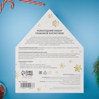 Новогодний подарочный набор косметики SB BEAUTY, гель для душа, бомбочка × 2, шампунь, мочалка, аромат хвои, мандарина и корицы - Фото 5