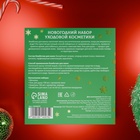 Новогодний подарочный набор косметики SB BEAUTY, гель для душа, шампунь, бомбочка × 2, мочалка, аромат хвои и корицы - Фото 5