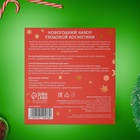 Новогодний подарочный набор косметики SB BEAUTY, гель для душа, шампунь, бомбочка × 2, мочалка, аромат мандарина, хвои и корицы - Фото 5