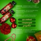 Новогодний подарочный набор косметики SB BEAUTY, гель для душа, шампунь, бомбочка × 2, мочалка, аромат корицы и хвои - Фото 3