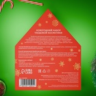 Новогодний подарочный набор косметики SB BEAUTY, гель для душа, шампунь, бомбочка × 2, мочалка, аромат корицы и хвои - Фото 5