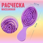 Расчёска - мини массажная, 5,5 × 14 см, цвет фиолетовый 10554254 - фото 312742321