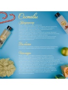 Новогодний подарочный набор косметики SB BEAUTY, шампунь, кондиционер, бомбочка, мочалка, с ароматом хвои, мандарина и корицы - фото 54786452