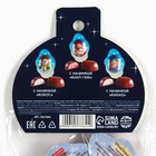 Конфеты шоколадные 5 шт. «Дед мороз» - Фото 4