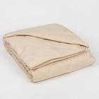 Одеяло всесезонное Адамас "Овечья шерсть", размер 200х220 ± 5 см, 300гр/м2, чехол тик - Фото 1