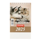 Календарь настольный, домик "Щенки и котята" 2025, 10 х 14 см - Фото 3